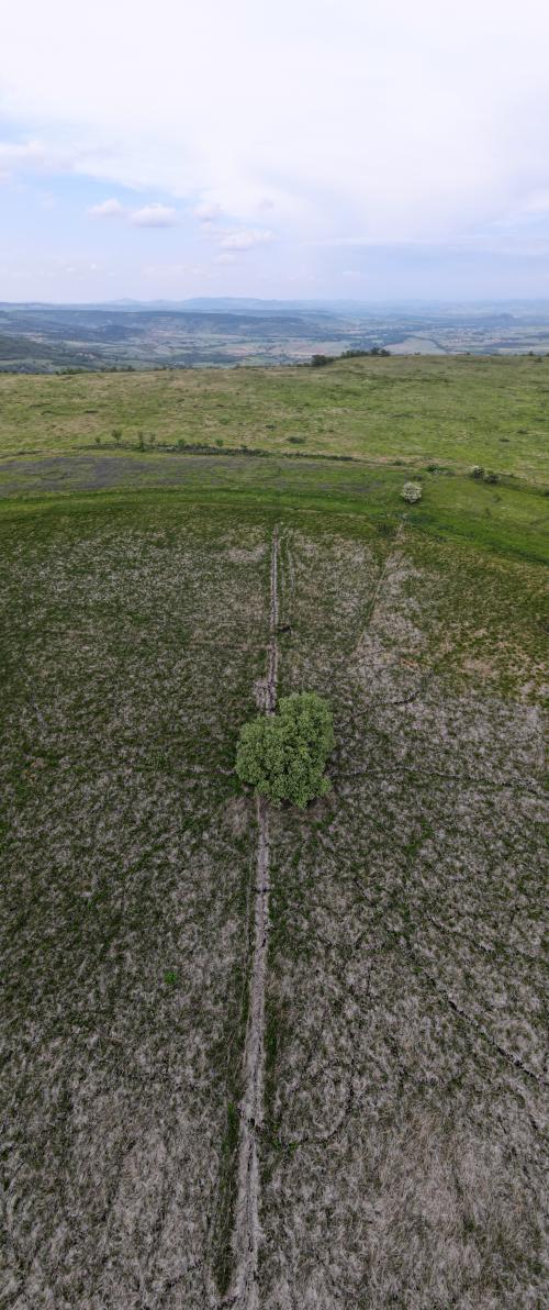 DJI_2880.JPG